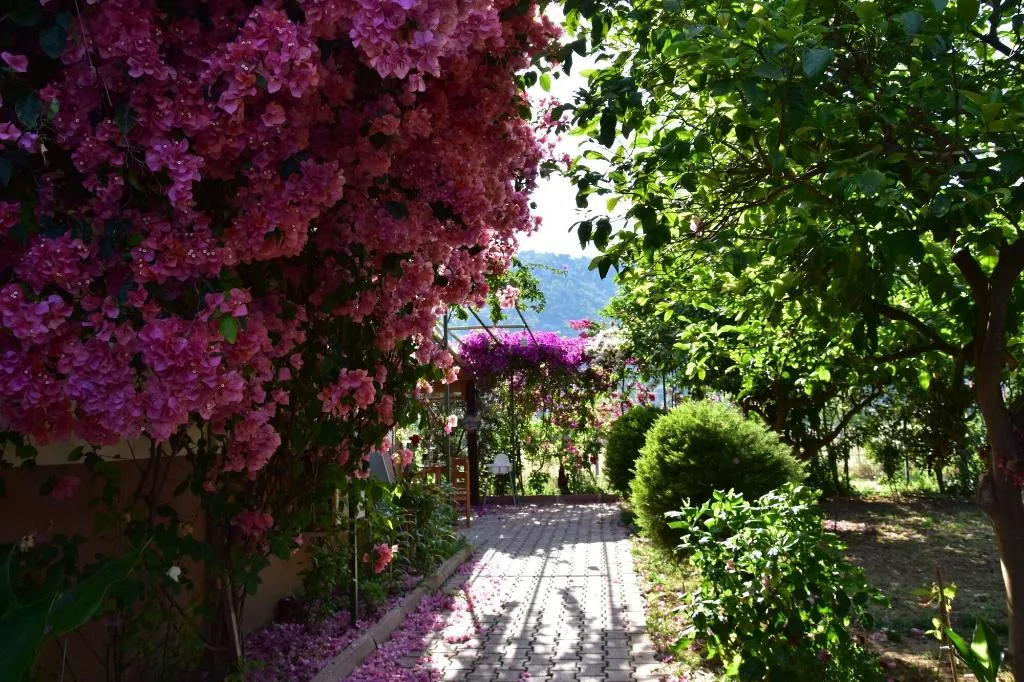 General view, Lemon Garden Lodge, Antalya