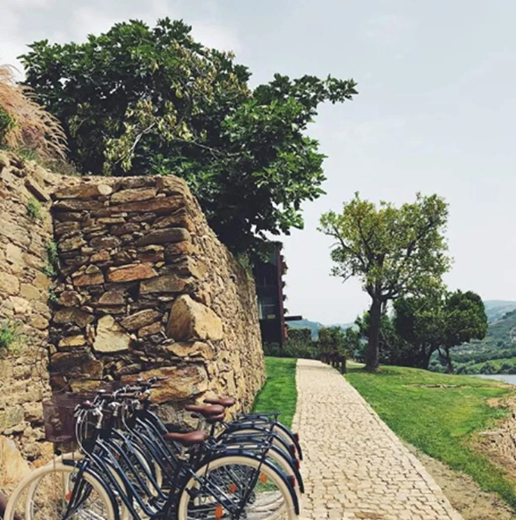Sports and Entertainment, Quinta de S. Bernardo Winery & Farmhouse, Porto