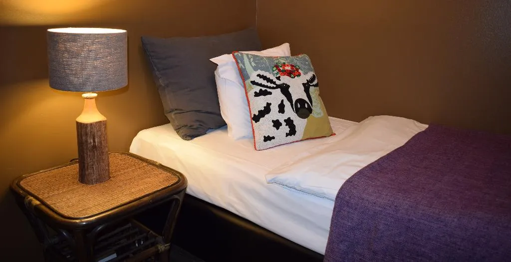 SINGLE STANDARD Room, Hotel Leifur Eiriksson, Reykjavik