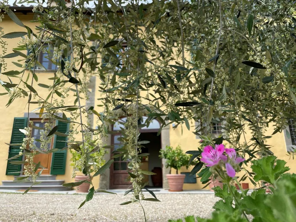 General view, Villa Rigacci, Florence