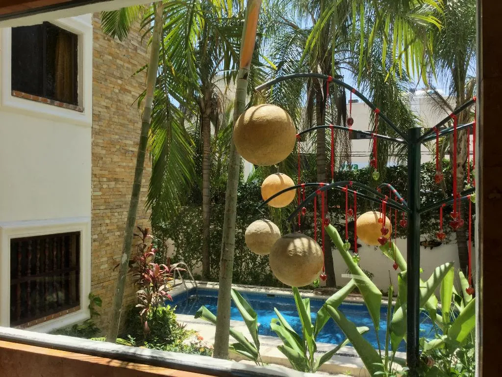 Pool, Las Golondrinas, Playa Del Carmen