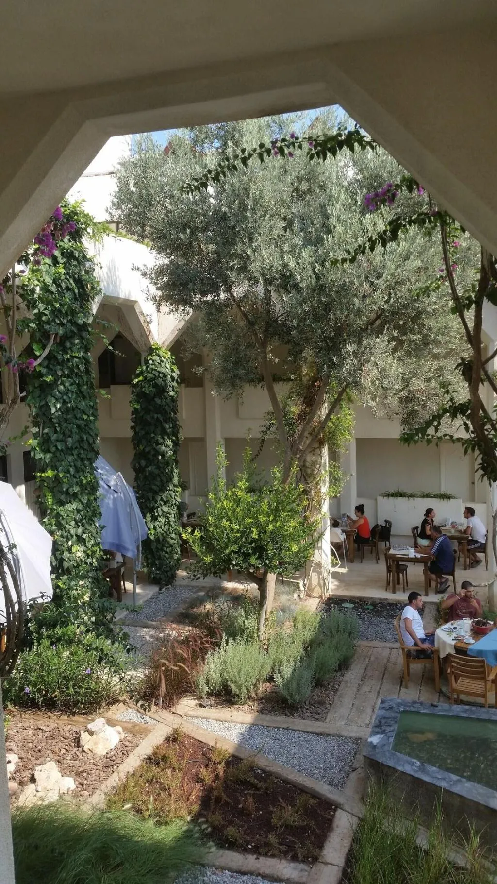 Terrace, Arinnanda, Izmir