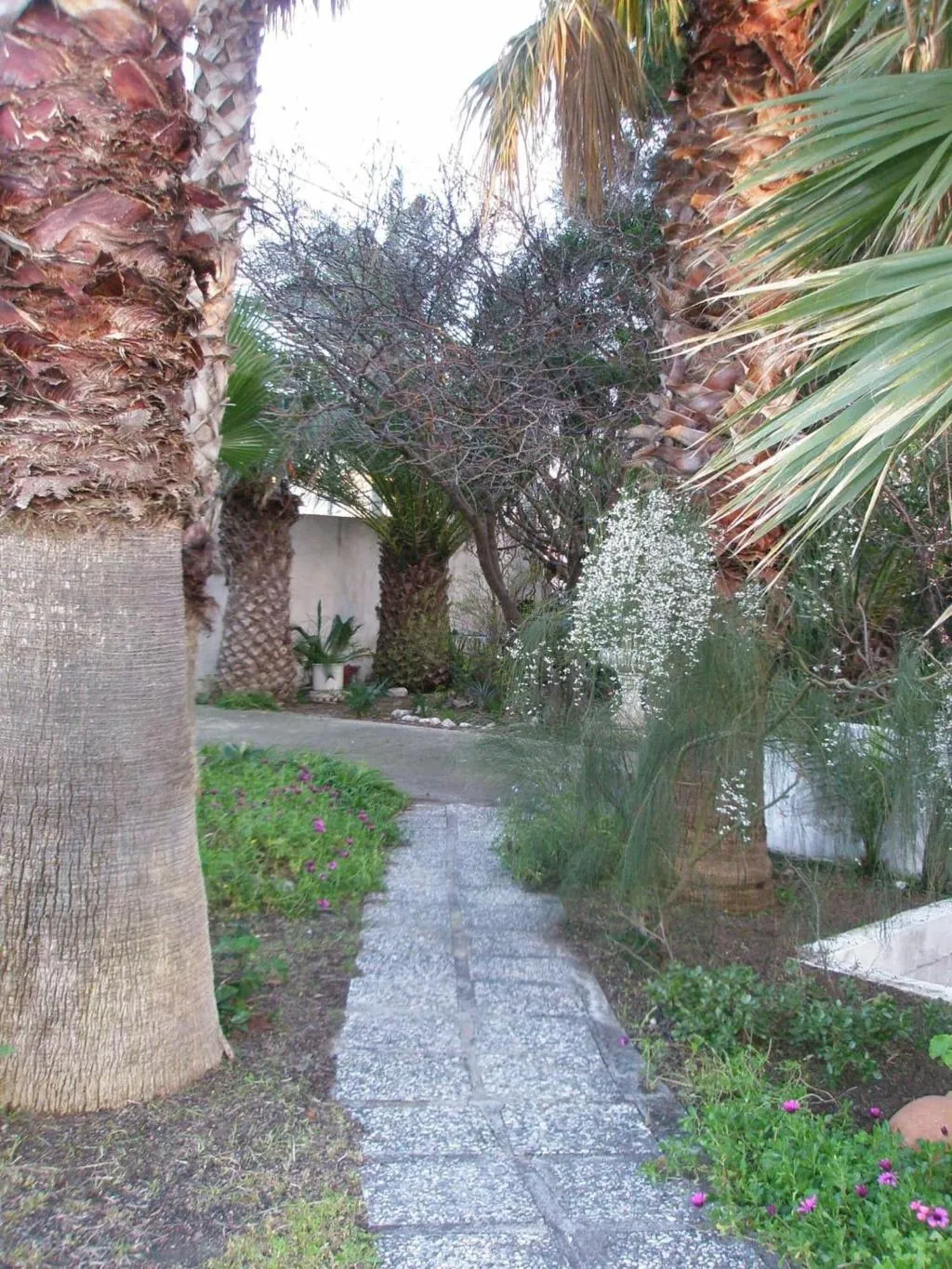 General view, Dolphin Apartments, Rhodes