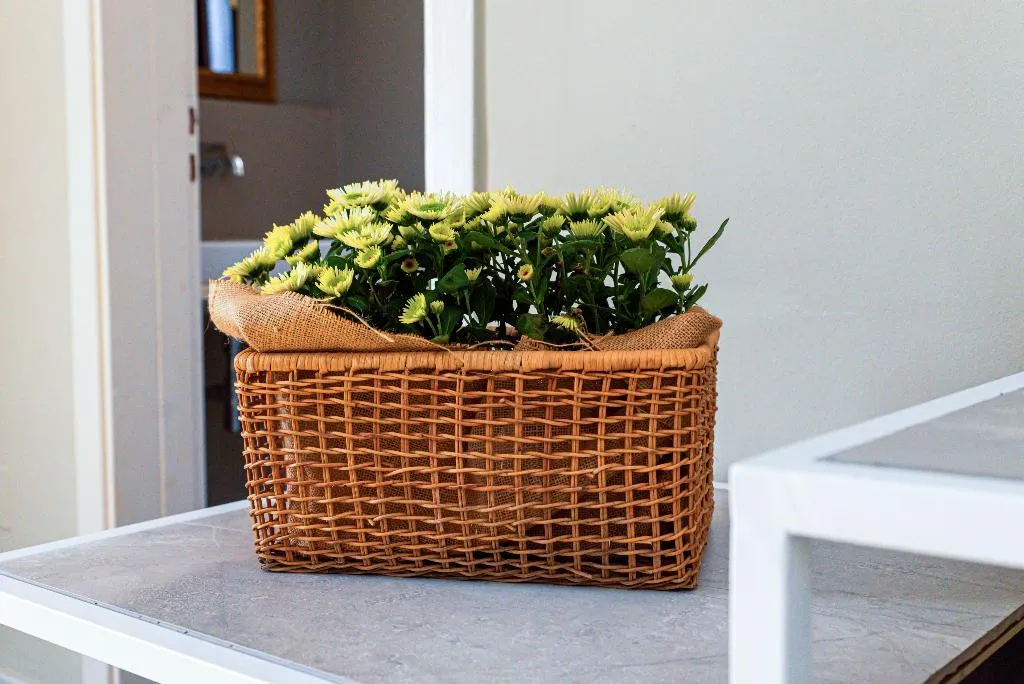 TRIPLE STANDARD Room, B&B Palazzo Cerami, Catania
