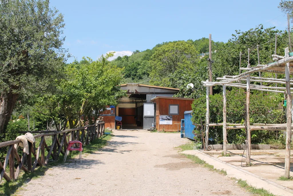 Sports and Entertainment, Agriturismo Piccolo Paradiso, Naples