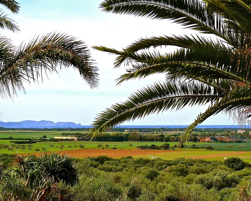 General view, Es Turo, Majorca