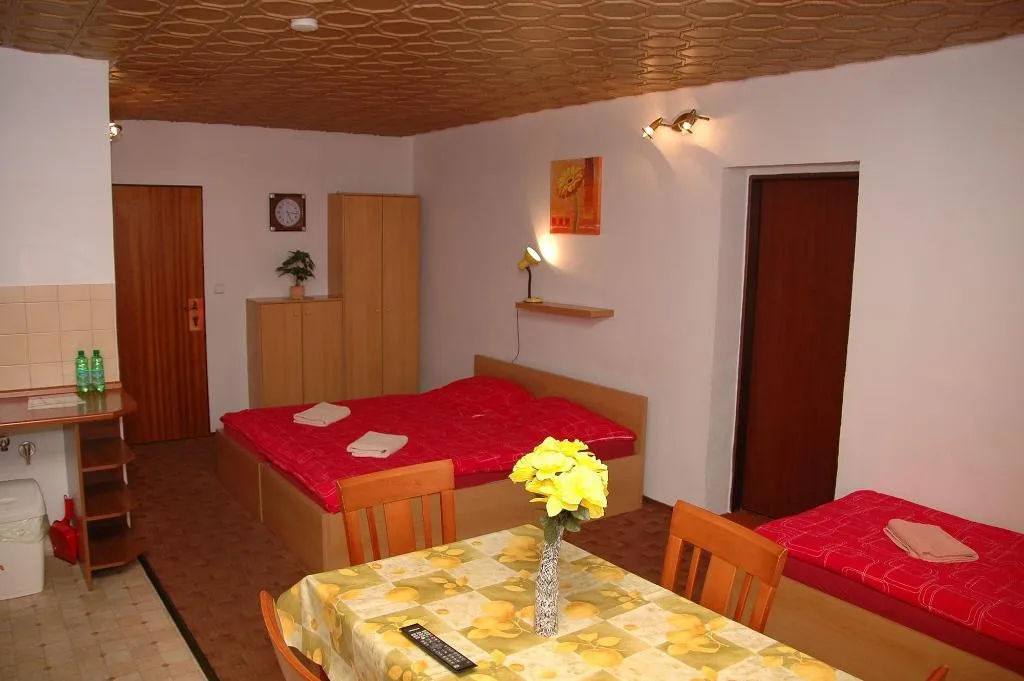 Room, Penzion V Roklích, Prague