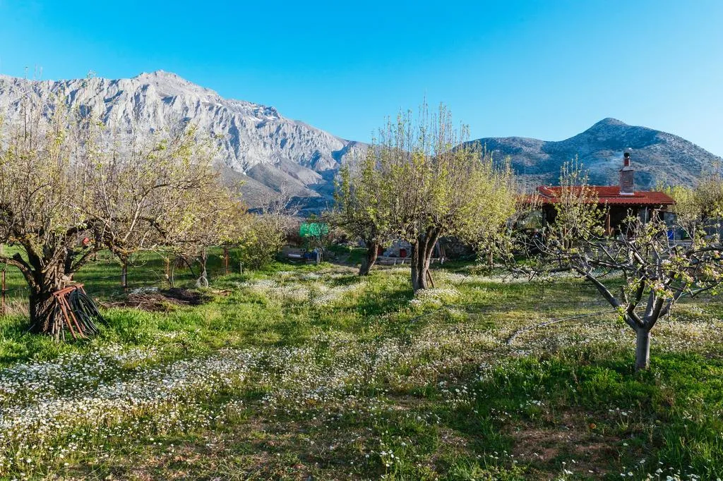 General view, Vasilikata, Crete