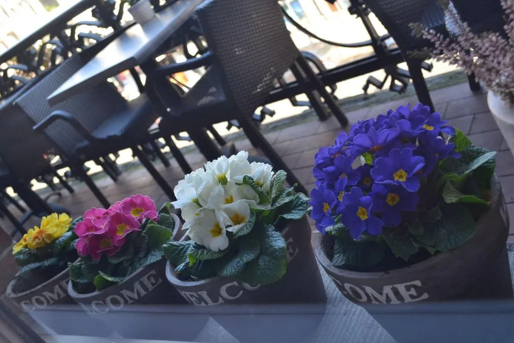 Terrace, Hotel Clemens, Amsterdam