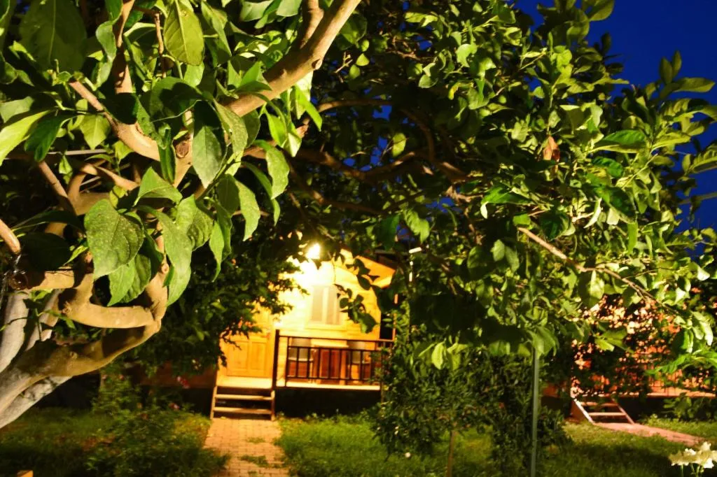 General view, Lemon Garden Lodge, Antalya