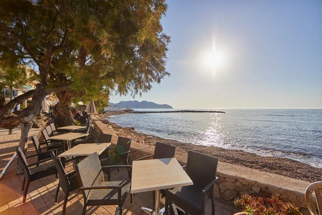 General view, Hotel Ilusion Moreyo Adults Only, Majorca