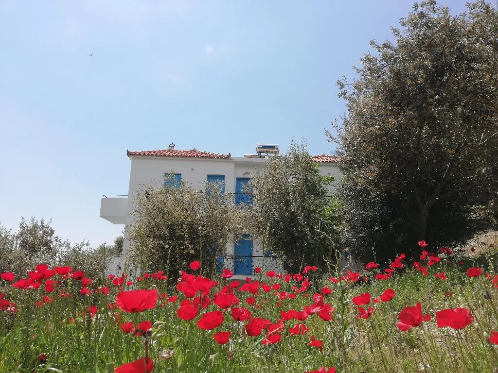 General view, Apartments Jota, Samos