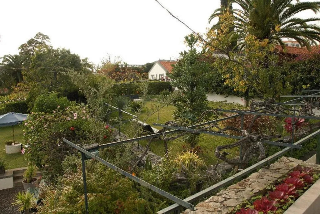 Terrace, Vilas Oliveira, Madeira