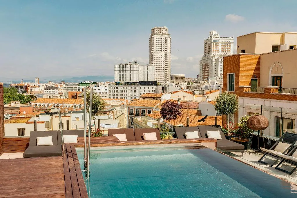 General view, Palacio de los Duques Gran Meliá, Madrid