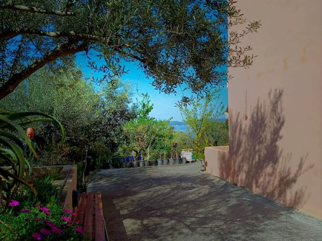 Terrace, Oskars Studios & Apartments, Kefallinia