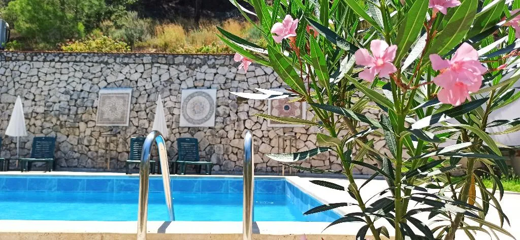 Pool, Swiss Eviniz Hotel, Antalya