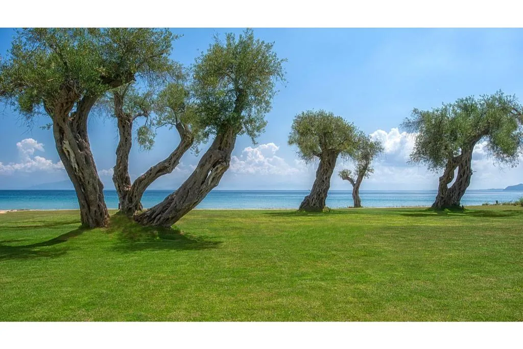 General view, Domes Miramare, A Luxury Collection Resort, Corfu, Corfu