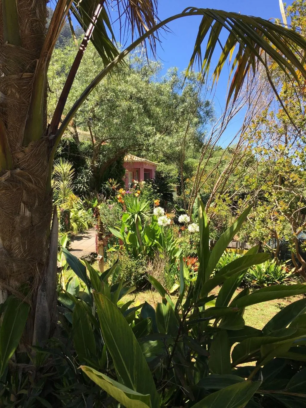 General view, North Coast Guest House, Madeira