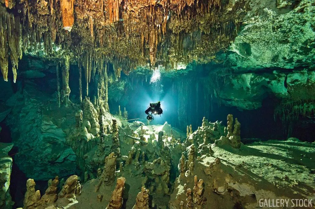 Sports and Entertainment, The Yellow Nest, Cancun Area