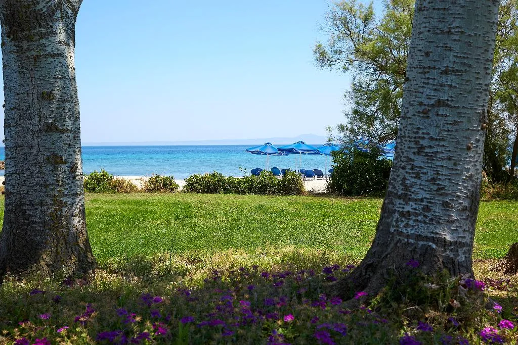Beach, Theophano Imperial Palace, Halkidiki