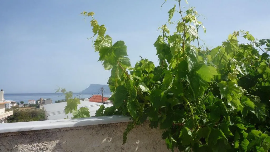 General view, Hostel Stylianos Kissamos, Crete