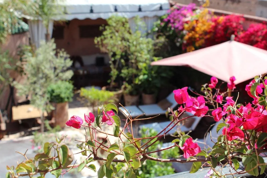 Terrace, Riad Jona, Marrakech