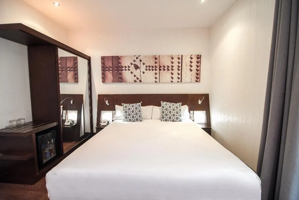 DOUBLE STANDARD Room, Petit Palace Marques Santa Ana, Seville
