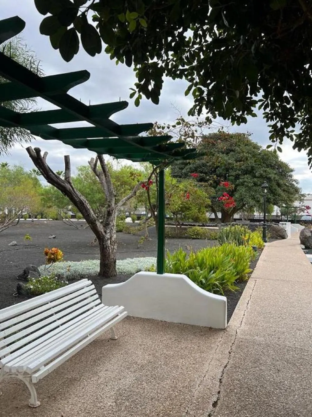 Terrace, Hyde Park Lane, Lanzarote