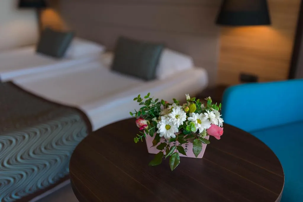 DOUBLE SINGLE USE STANDARD Room, Astera Hotel & Spa, Varna