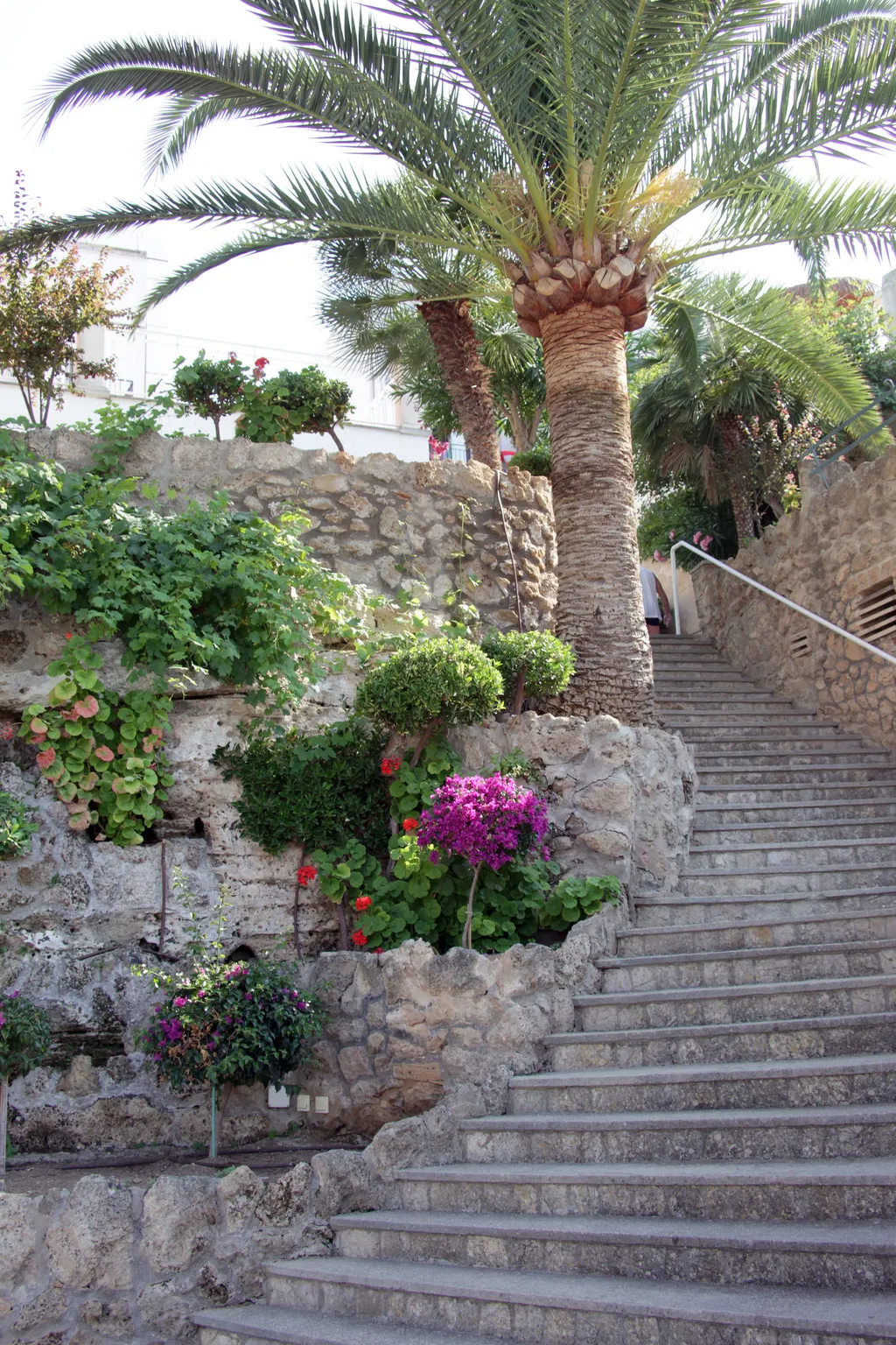 Terrace, Hotel y Apartamentos Casablanca, Majorca