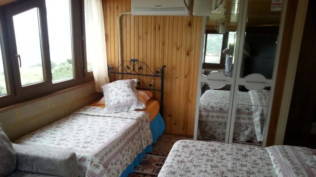 Room STANDARD Room, Tas Ev Butik Otel, Izmir