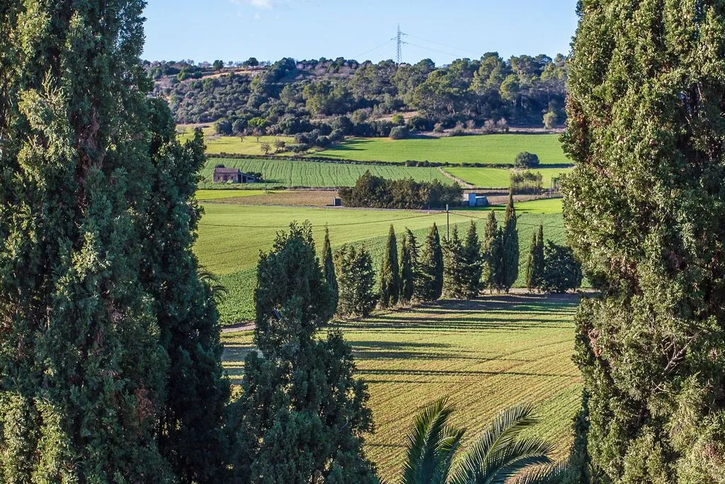 General view, Son Foguero Agroturismo, Majorca