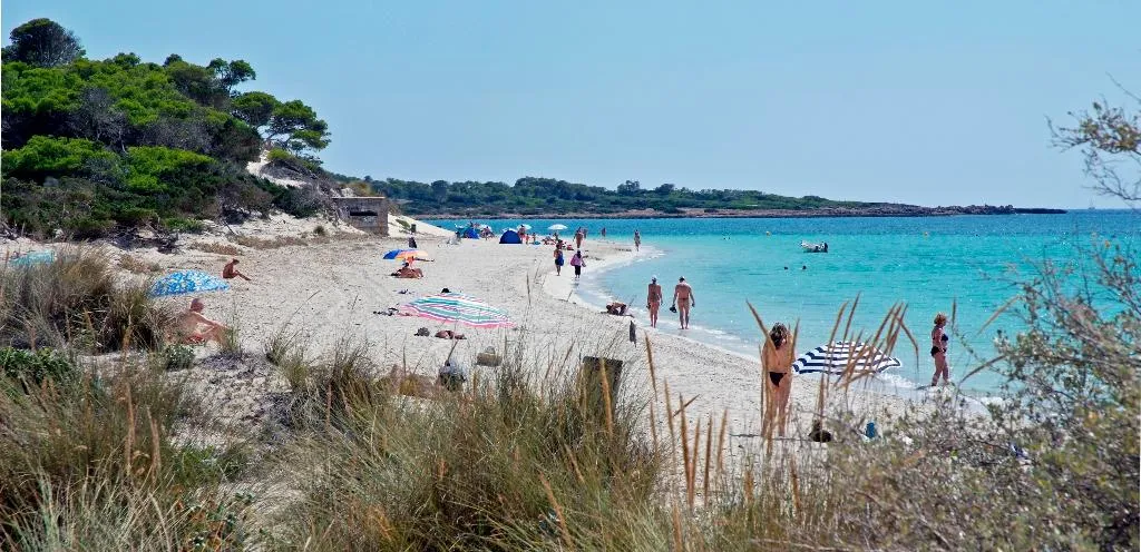 Beach, Aparthotel Isla de Cabrera, Majorca