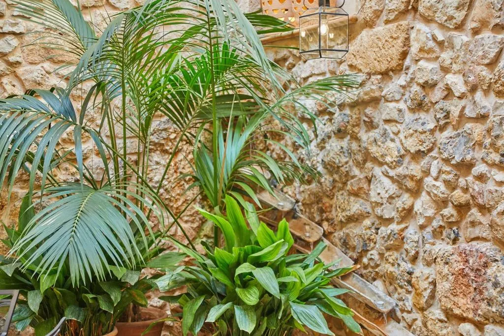 Terrace, Cas Comte Petit Hotel & Spa, Majorca