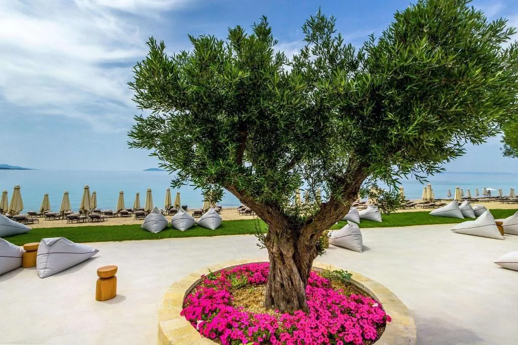 Beach, Ammoa Luxury Hotel & Spa Resort, Halkidiki