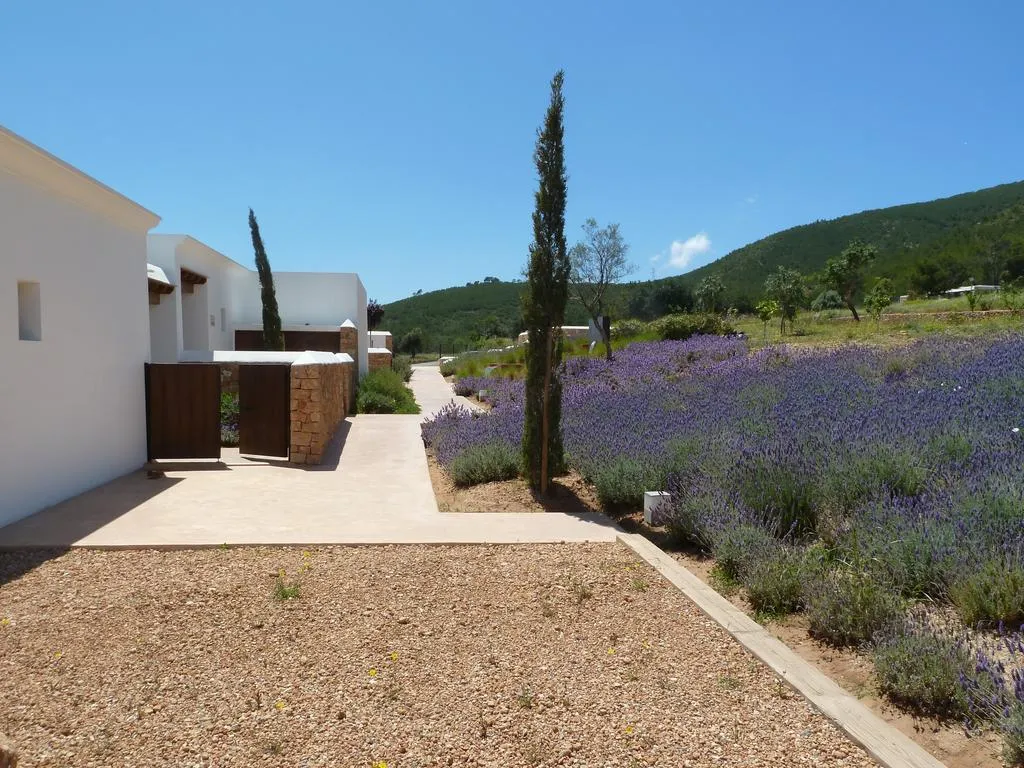 Lobby, Casa Maca (Es Trull de Can Palau), Ibiza