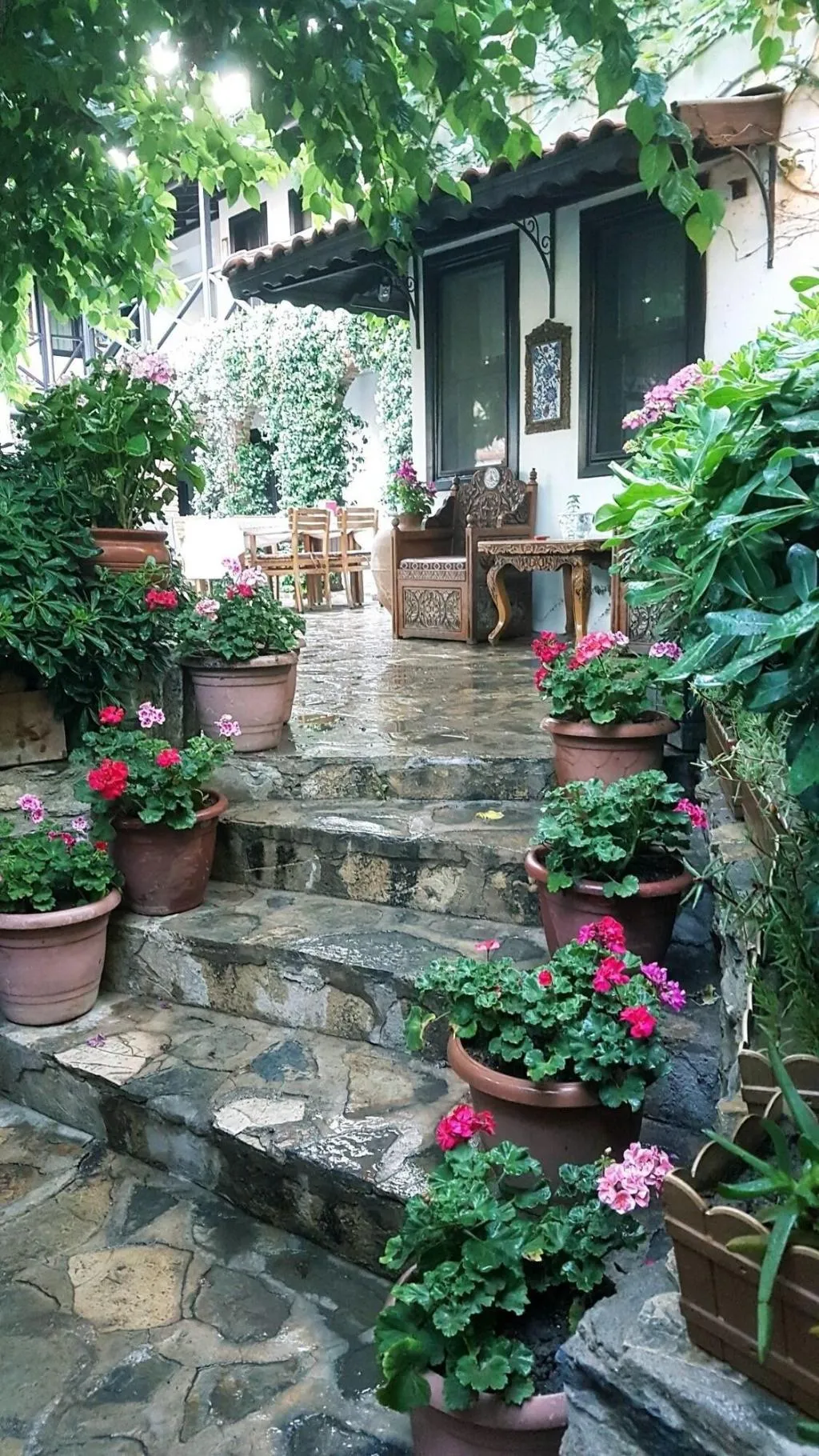 Room, Nilya, Izmir