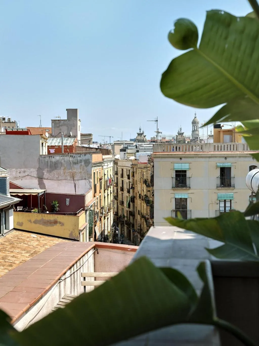 Terrace, Musik Boutique, Barcelona