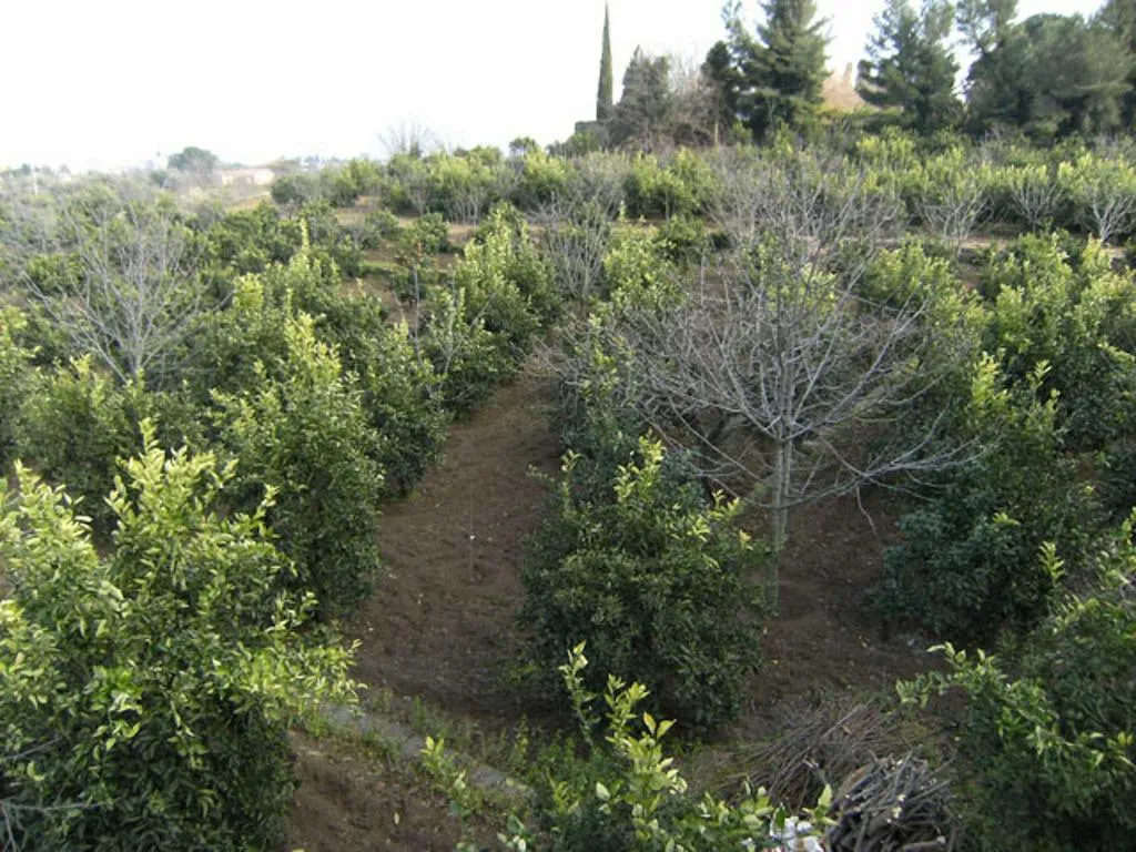 General view, Baglio delle Rose, Catania