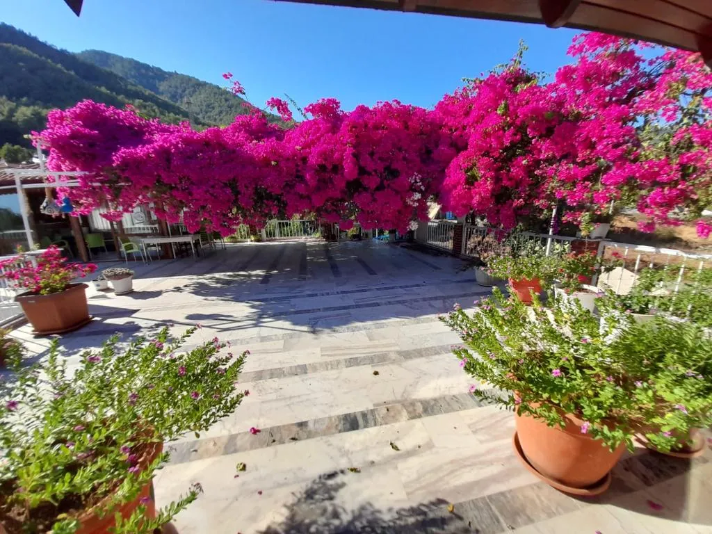 Terrace, Akdeniz Pansiyon, Dalaman