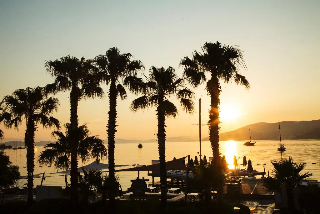 Pool, Torbahan Hotel, Bodrum