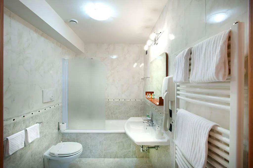 DOUBLE KING BED NON SMOKING Room, Best Western Blu Hotel Roma, Rome