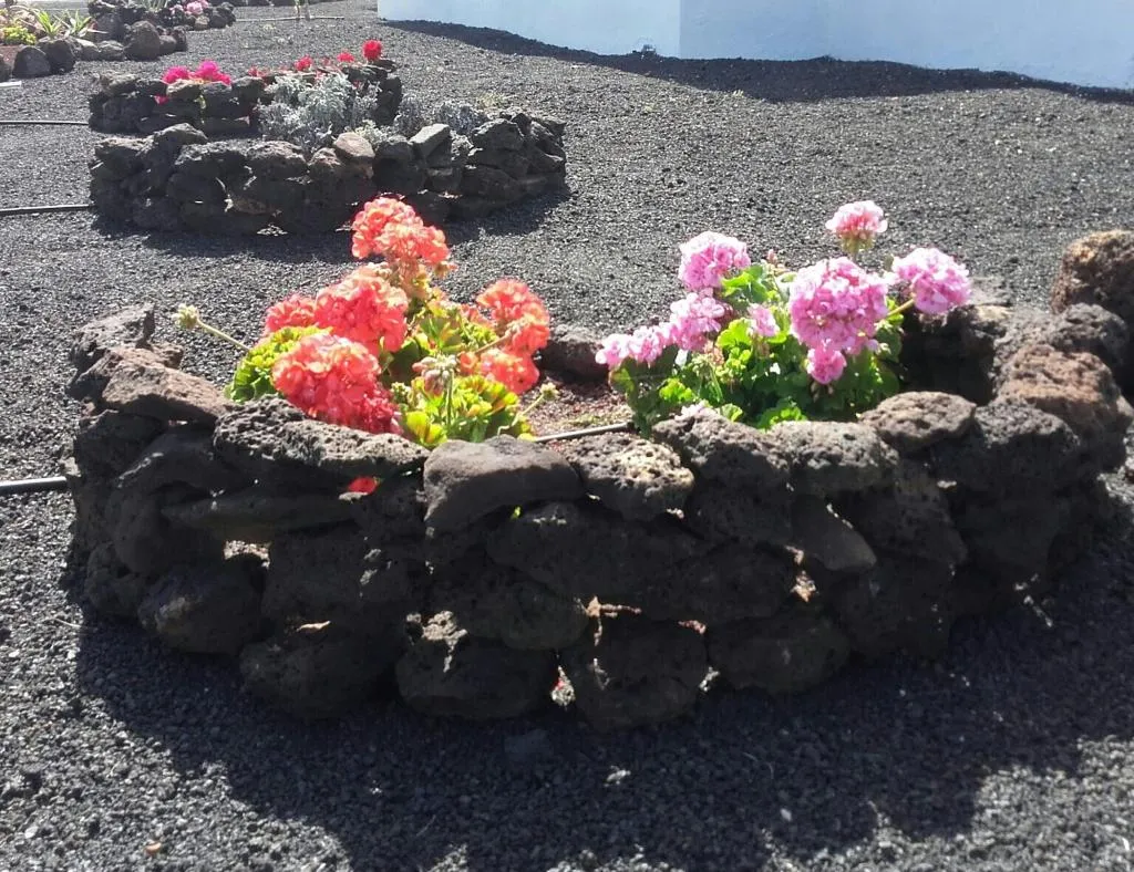 Sports and Entertainment, Vik  Coral Beach, Lanzarote