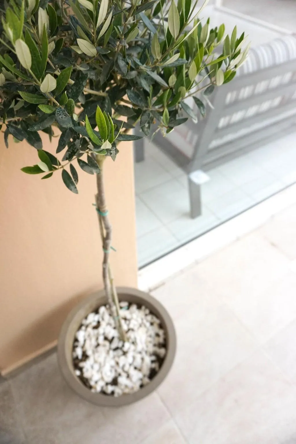 Lobby, Dioni Hotel, Crete
