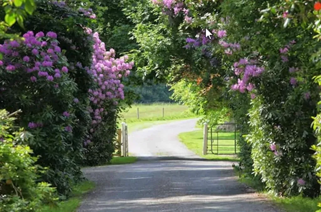 General view, Ballymaloe House, Cork