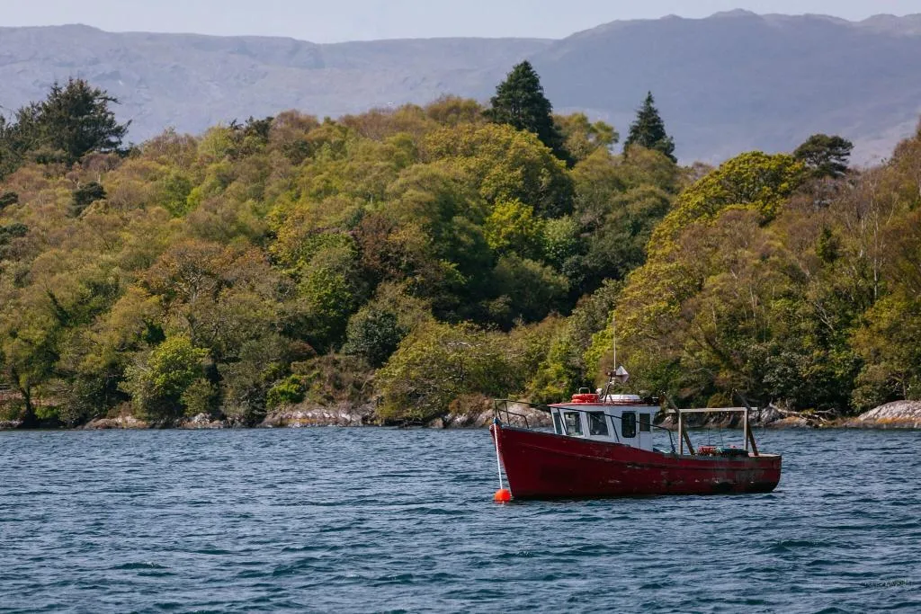General view, Glengarriff Eccles, Cork