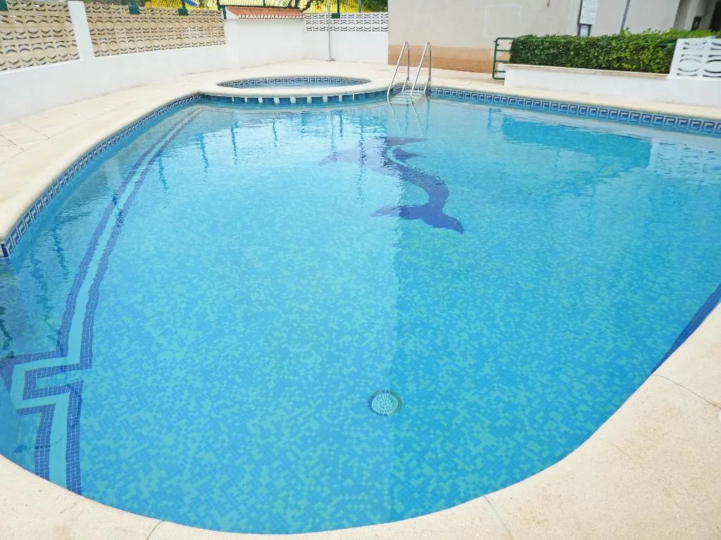Pool, Jardines de Gandia VI - VIII 3000, Valencia