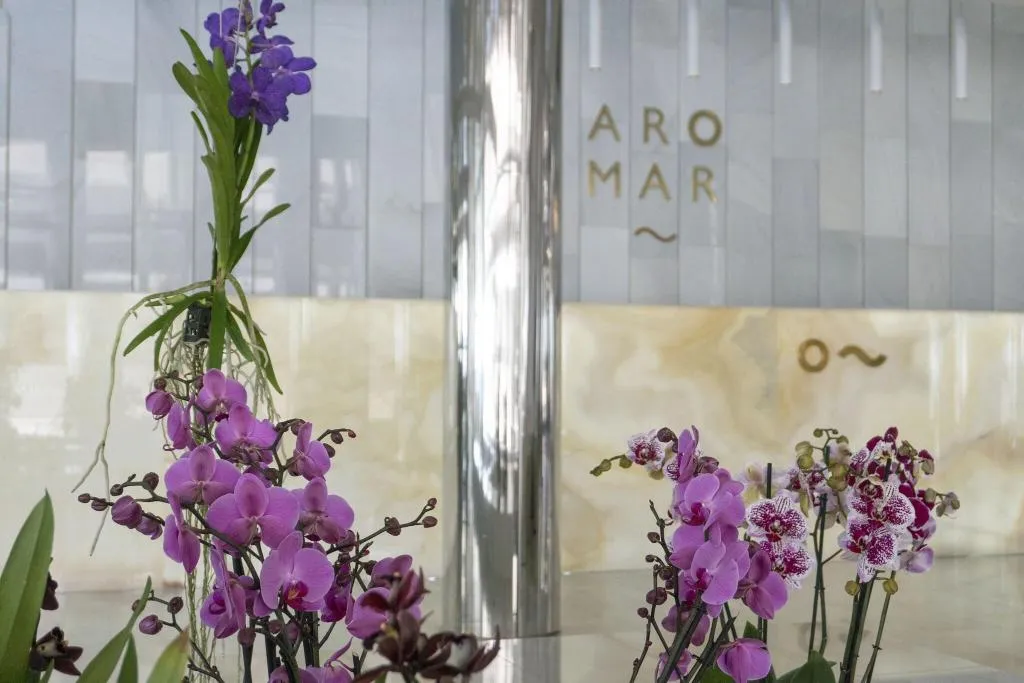 Lobby, Aromar, Costa Brava