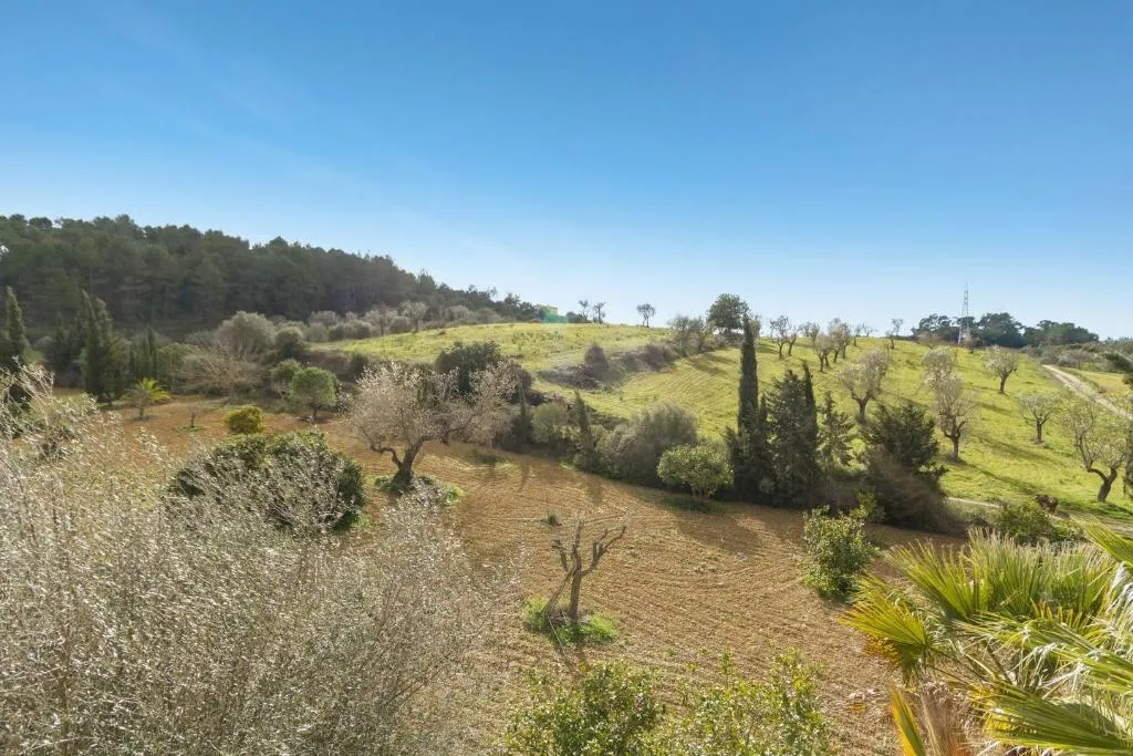 General view, Son Foguero Agroturismo, Majorca