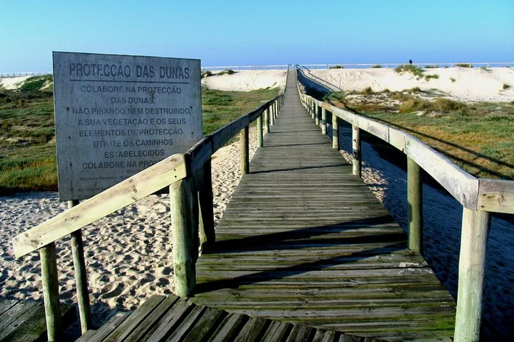 Beach, Moliceiro, Porto